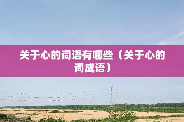 关于心的词语有哪些（关于心的词成语）