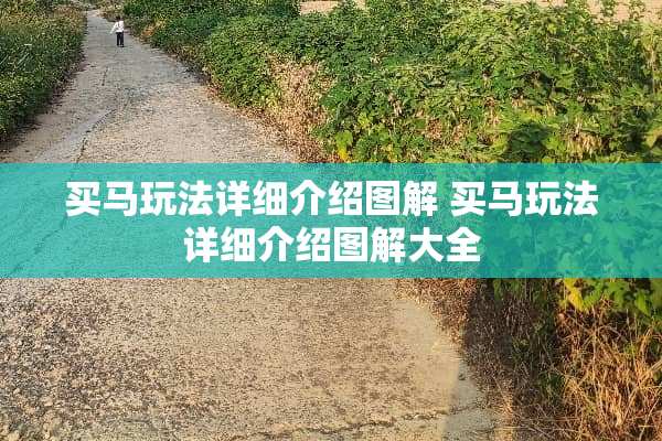 买马玩法详细介绍图解 买马玩法详细介绍图解大全