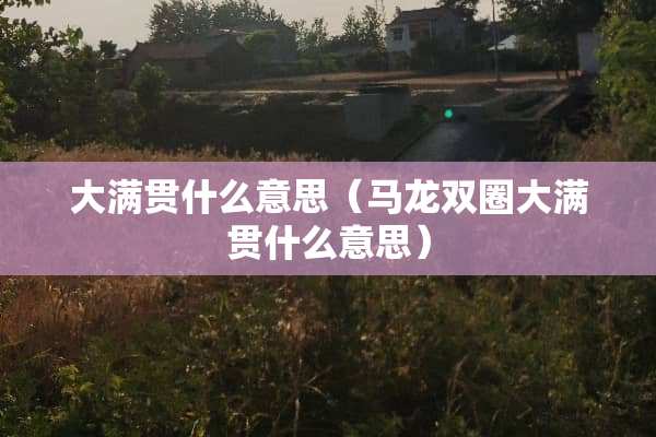 大满贯什么意思（马龙双圈大满贯什么意思）