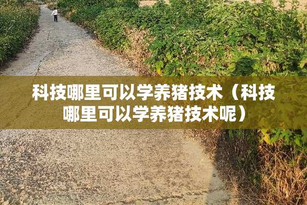 科技哪里可以学养猪技术（科技哪里可以学养猪技术呢）