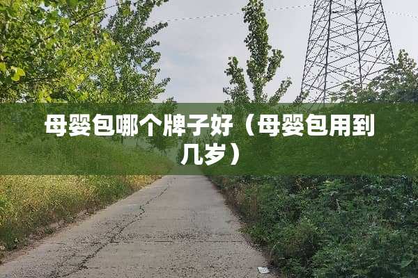 母婴包哪个牌子好（母婴包用到几岁）