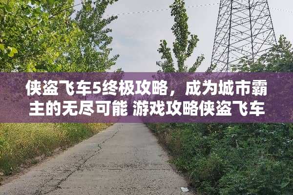 侠盗飞车5终极攻略，成为城市霸主的无尽可能 游戏攻略侠盗飞车5