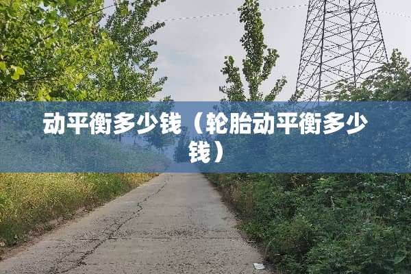 动平衡多少钱（轮胎动平衡多少钱）
