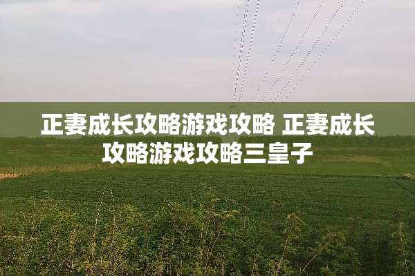 正妻成长攻略游戏攻略 正妻成长攻略游戏攻略三皇子