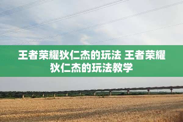 王者荣耀狄仁杰的玩法 王者荣耀狄仁杰的玩法教学