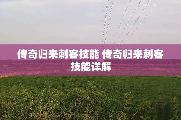 传奇归来刺客技能 传奇归来刺客技能详解