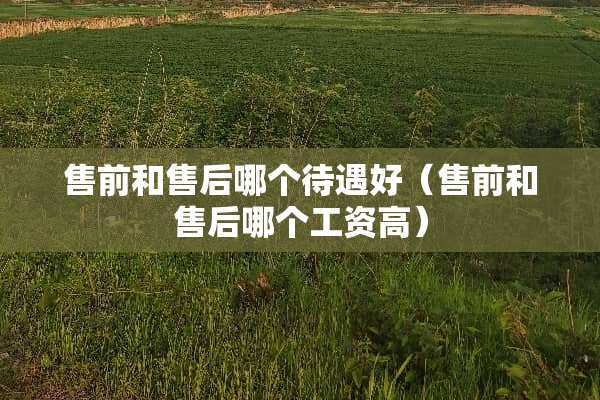 售前和售后哪个待遇好（售前和售后哪个工资高）