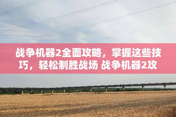 战争机器2全面攻略，掌握这些技巧，轻松制胜战场 战争机器2攻略