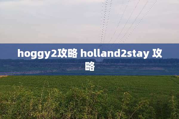 hoggy2攻略 holland2stay 攻略