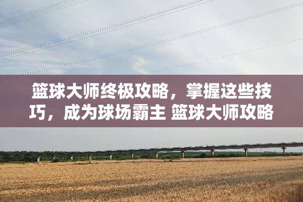 篮球大师终极攻略，掌握这些技巧，成为球场霸主 篮球大师攻略