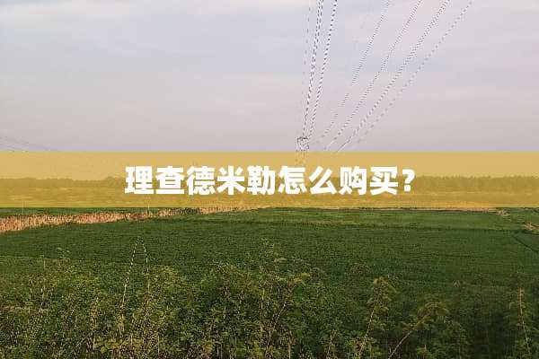 理查德米勒怎么购买？