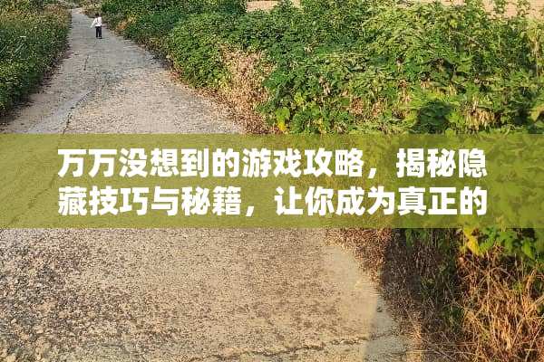 万万没想到的游戏攻略，揭秘隐藏技巧与秘籍，让你成为真正的游戏高手 万万没想到的游戏攻略