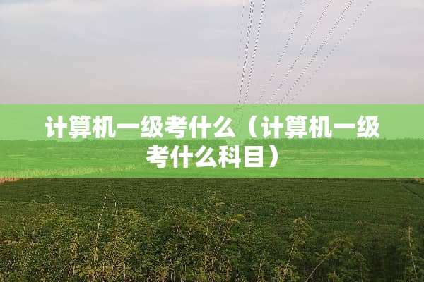 计算机一级考什么（计算机一级考什么科目）