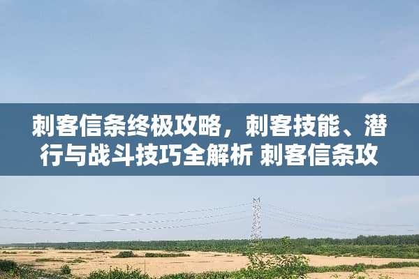 刺客信条终极攻略，刺客技能、潜行与战斗技巧全解析 刺客信条攻略