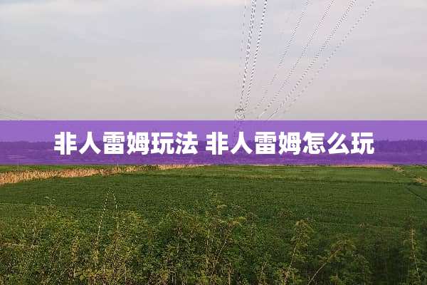非人雷姆玩法 非人雷姆怎么玩