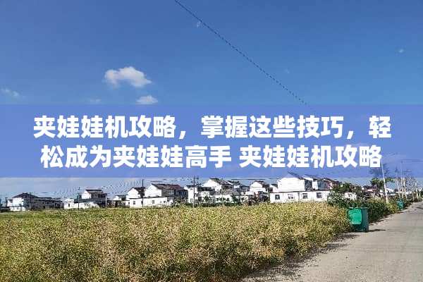 夹娃娃机攻略，掌握这些技巧，轻松成为夹娃娃高手 夹娃娃机攻略