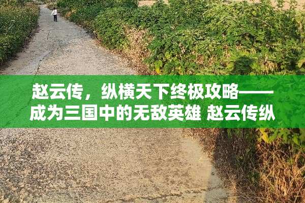 赵云传，纵横天下终极攻略——成为三国中的无敌英雄 赵云传纵横天下攻略