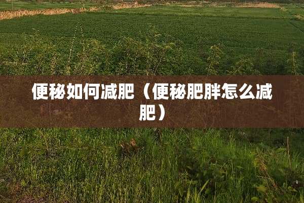 便秘如何减肥（便秘肥胖怎么减肥）