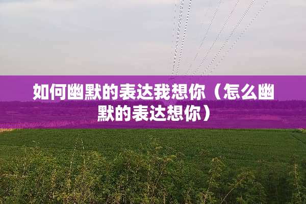 如何幽默的表达我想你（怎么幽默的表达想你）