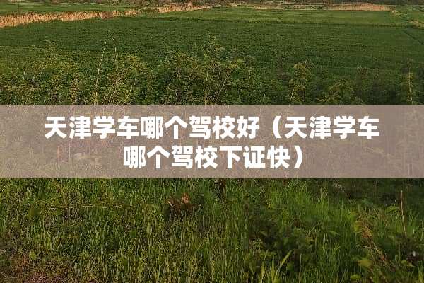 天津学车哪个驾校好（天津学车哪个驾校下证快）