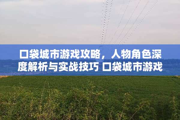 口袋城市游戏攻略，人物角色深度解析与实战技巧 口袋城市游戏攻略人物