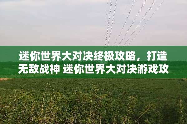 迷你世界大对决终极攻略，打造无敌战神 迷你世界大对决游戏攻略