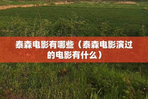 泰森电影有哪些（泰森电影演过的电影有什么）