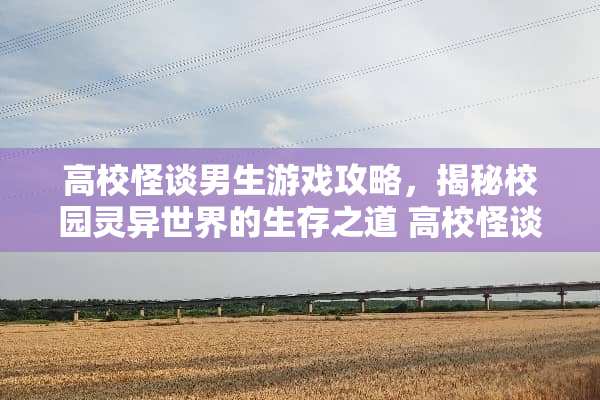 高校怪谈男生游戏攻略，揭秘校园灵异世界的生存之道 高校怪谈男生的游戏攻略