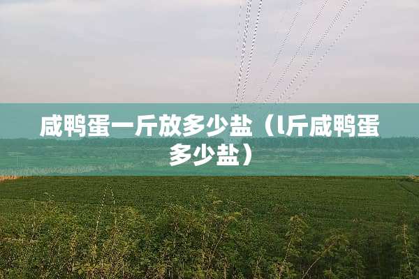 咸鸭蛋一斤放多少盐（l斤咸鸭蛋多少盐）