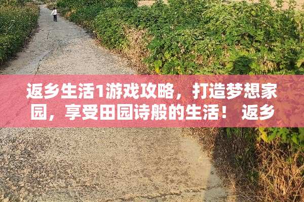 返乡生活1游戏攻略，打造梦想家园，享受田园诗般的生活！ 返乡生活1游戏攻略一