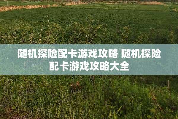 随机探险配卡游戏攻略 随机探险配卡游戏攻略大全