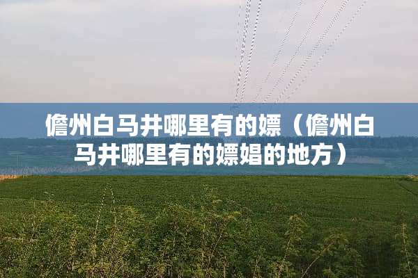 儋州白马井哪里有的*（儋州白马井哪里有的*娼的地方）