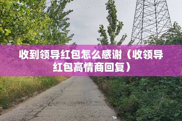 收到领导红包怎么感谢（收领导红包高情商回复）