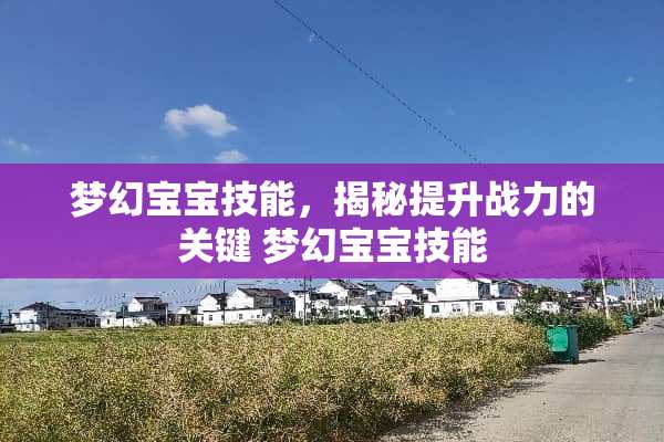 梦幻宝宝技能，揭秘提升战力的关键 梦幻宝宝技能