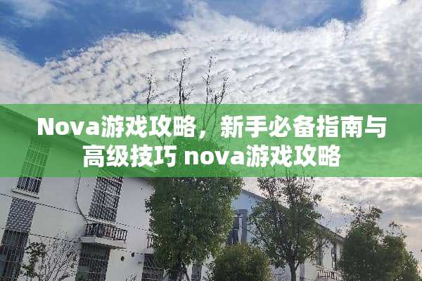 Nova游戏攻略，新手必备指南与高级技巧 nova游戏攻略