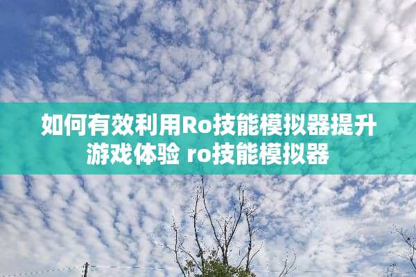 如何有效利用Ro技能模拟器提升游戏体验 ro技能模拟器