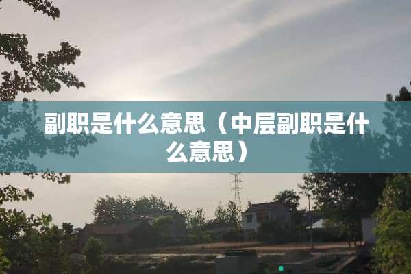 副职是什么意思（中层副职是什么意思）