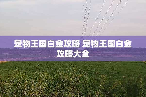 宠物王国白金攻略 宠物王国白金攻略大全