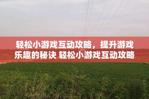 轻松小游戏互动攻略，提升游戏乐趣的秘诀 轻松小游戏互动攻略
