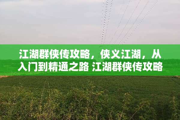 江湖群侠传攻略，侠义江湖，从入门到精通之路 江湖群侠传攻略