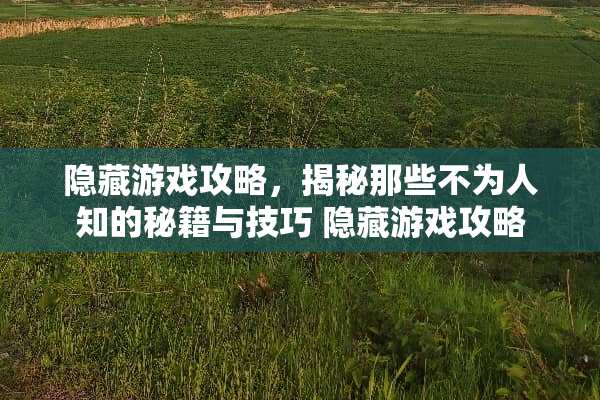 隐藏游戏攻略，揭秘那些不为人知的秘籍与技巧 隐藏游戏攻略