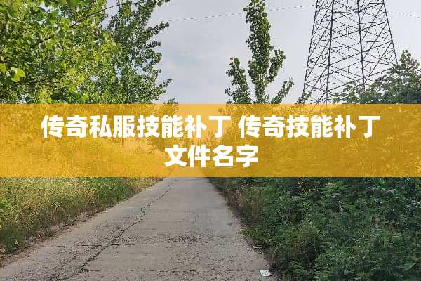 传奇**技能补丁 传奇技能补丁文件名字