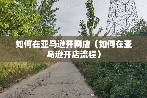 如何在亚马逊开网店（如何在亚马逊开店流程）