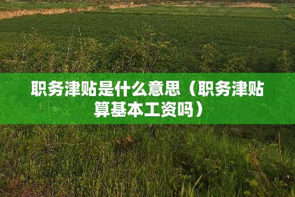 职务津贴是什么意思（职务津贴算基本工资吗）