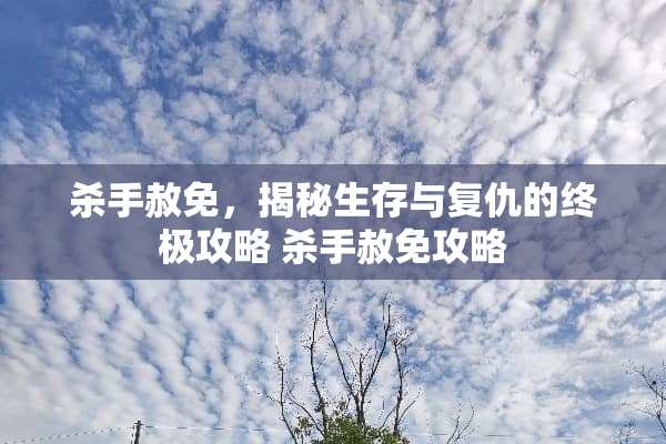 杀手赦免，揭秘生存与复仇的终极攻略 杀手赦免攻略