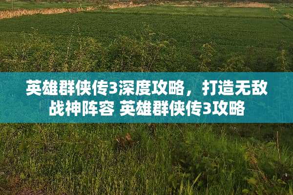 英雄群侠传3深度攻略，打造无敌战神阵容 英雄群侠传3攻略