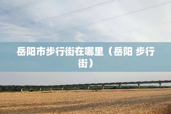 岳阳市步行街在哪里（岳阳 步行街）