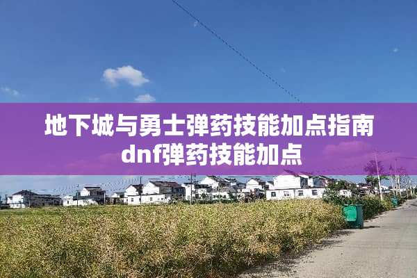 **城与勇士**技能加点指南 dnf**技能加点