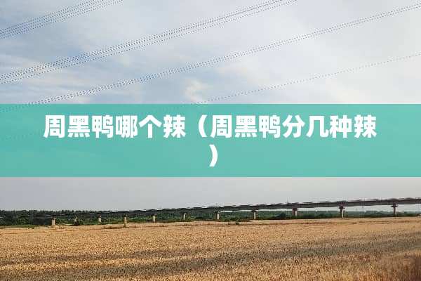 周黑鸭哪个辣（周黑鸭分几种辣）