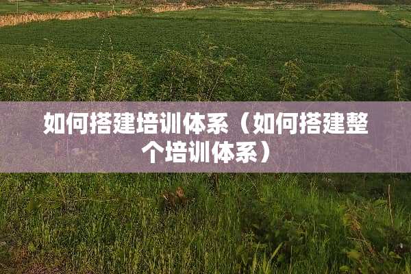 如何搭建培训体系（如何搭建整个培训体系）